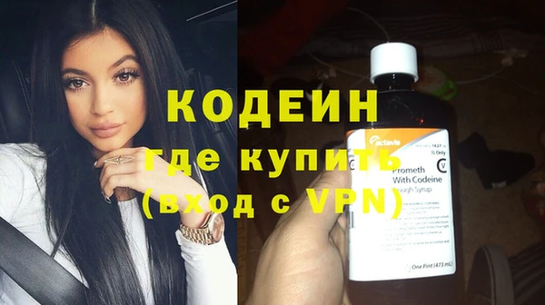 молекула духа Медвежьегорск
