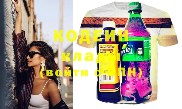 молекула духа Медвежьегорск