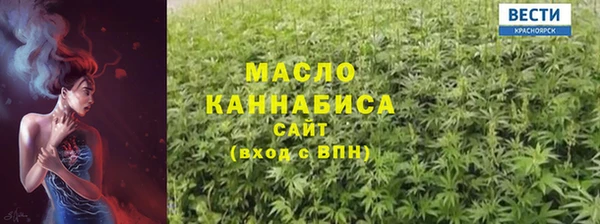 молекула духа Медвежьегорск