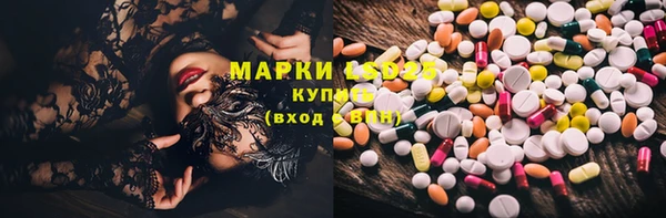 молекула духа Медвежьегорск