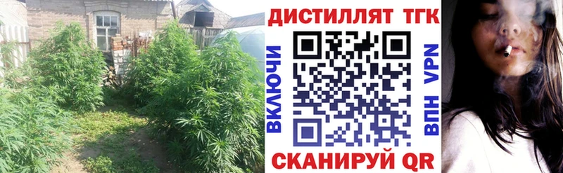 ТГК гашишное масло  Иланский 