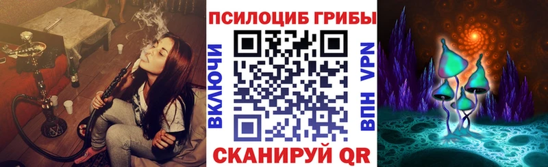 Псилоцибиновые грибы GOLDEN TEACHER  хочу   Иланский 