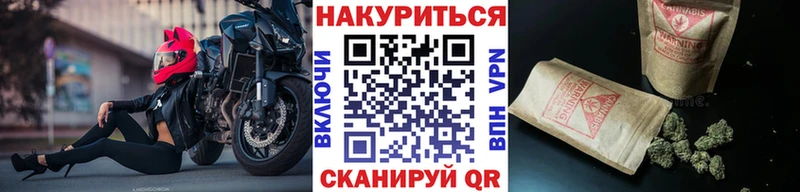 Каннабис семена Иланский
